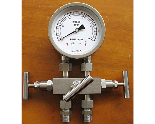 温州差压表带三阀组