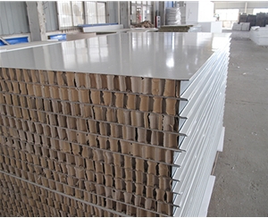 温州50厚1150型纸蜂窝夹芯板